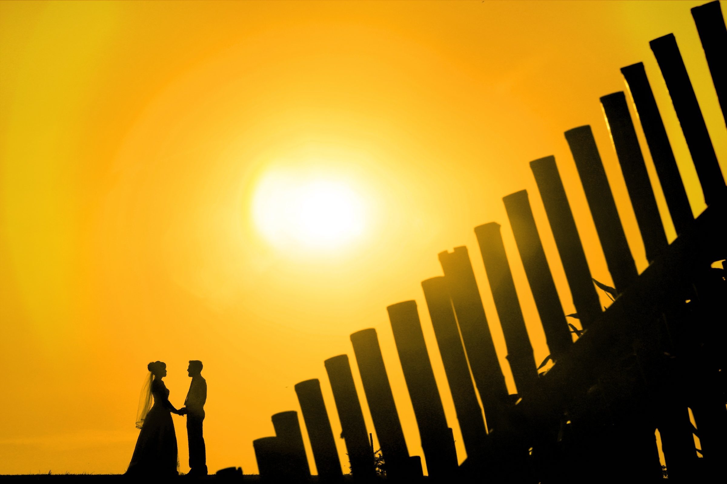 Foto de Wilian Sieminski 6