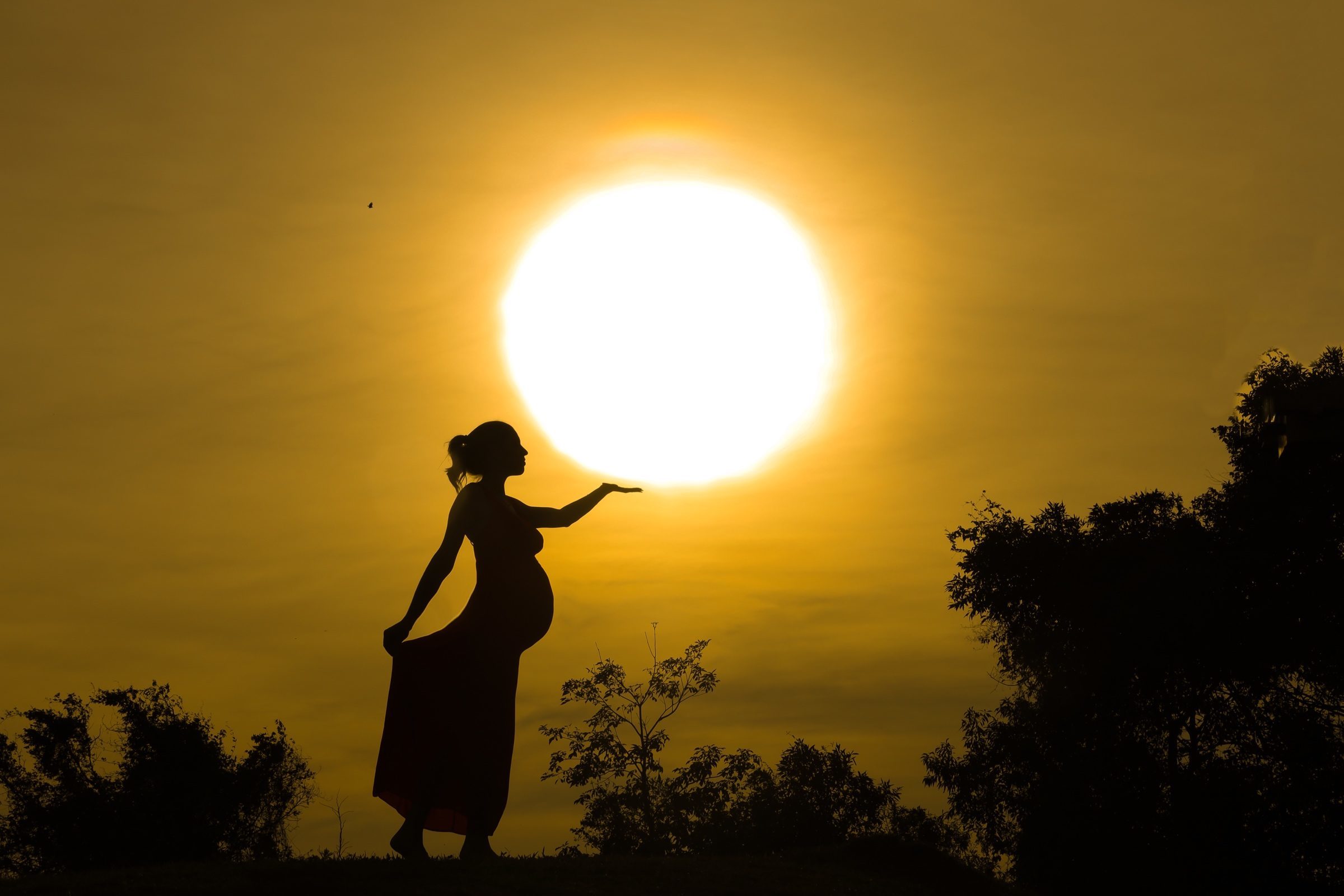 Foto de Wilian Sieminski 26