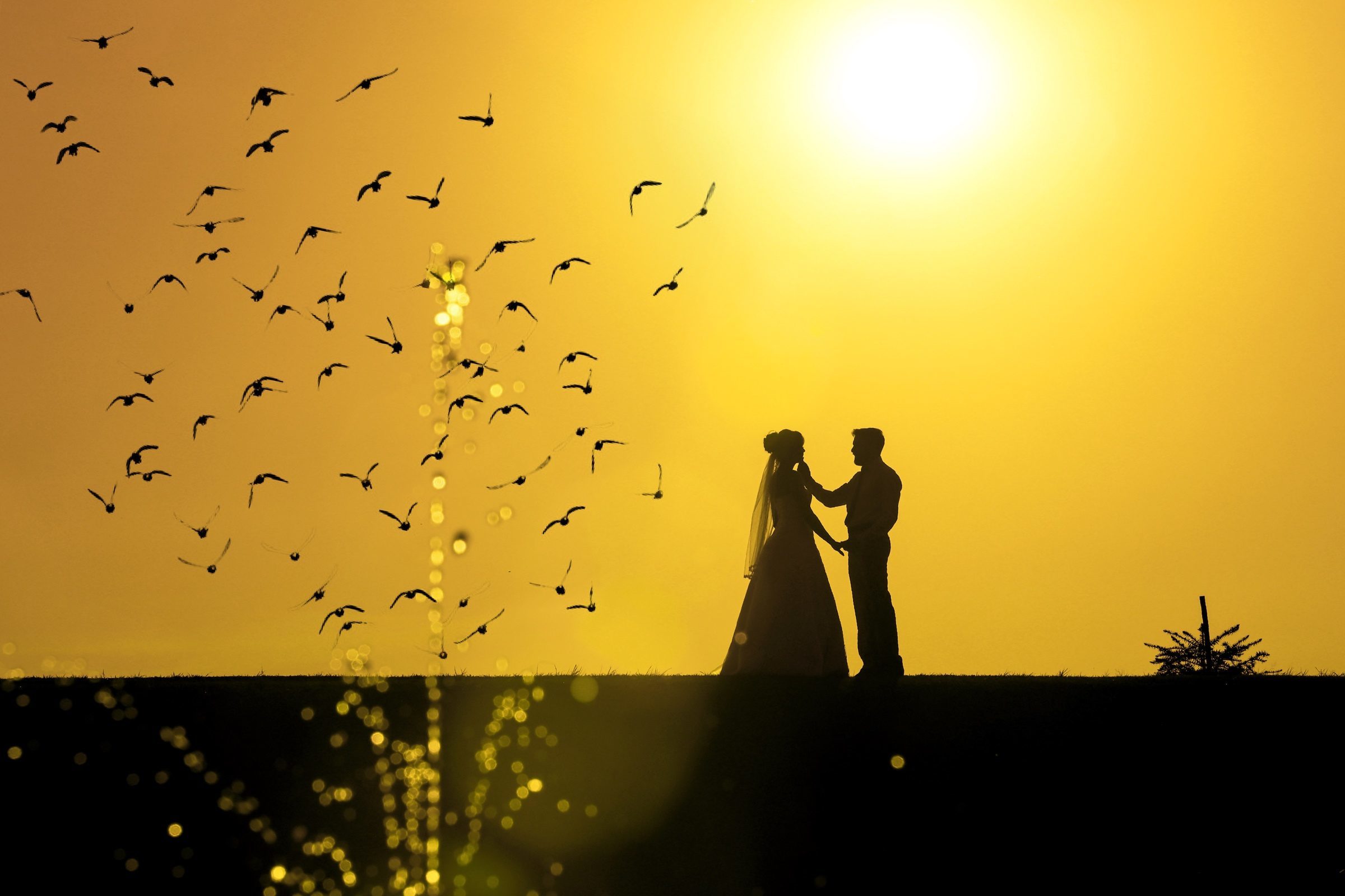 Foto de Wilian Sieminski 0