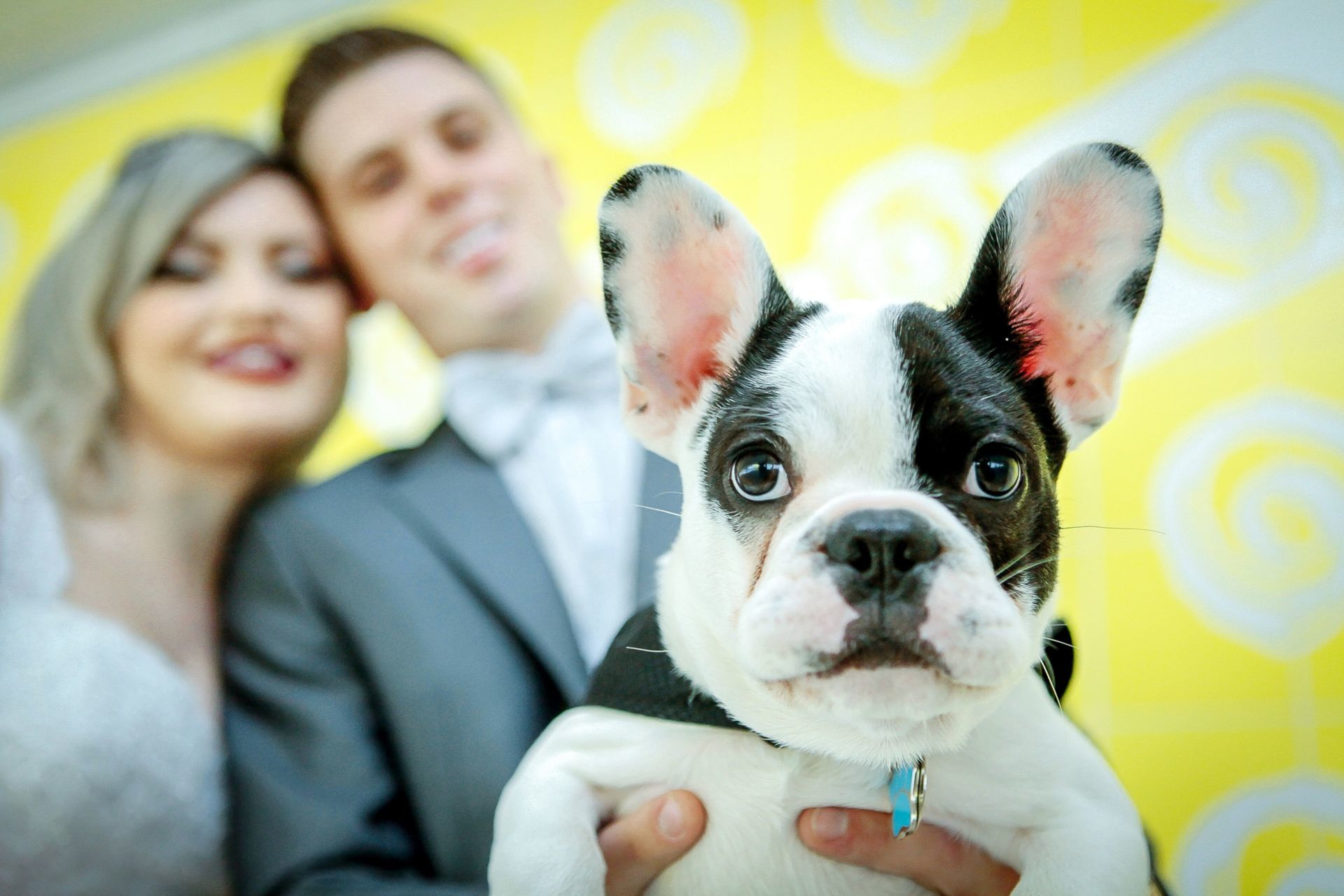 Foto Making Of de Noivos - Imagem 9